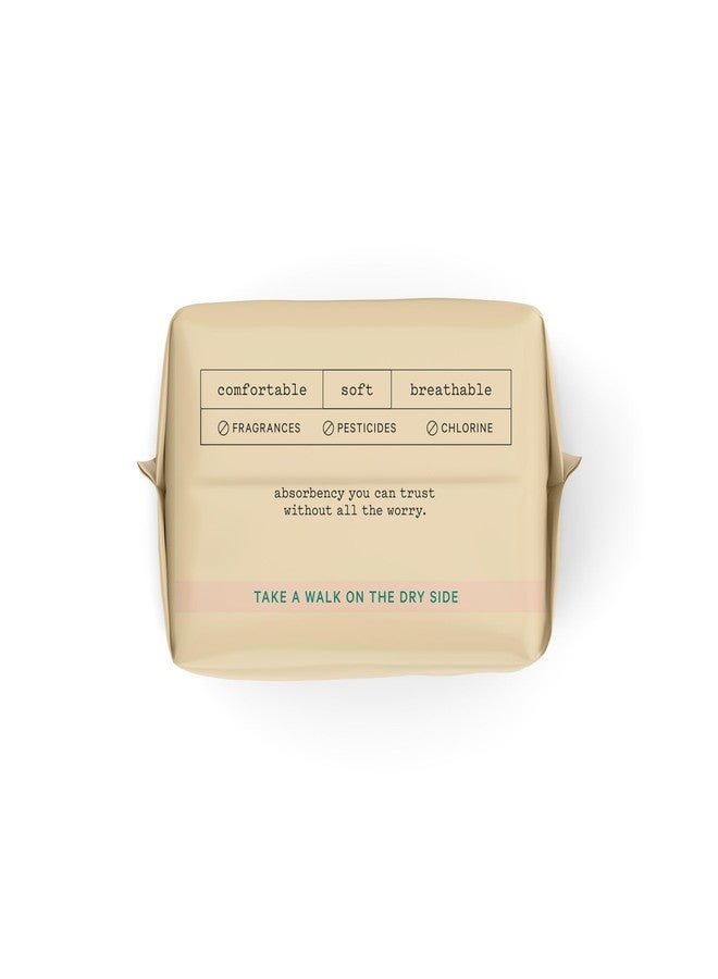 The Honey Pot Company - Incontinence Pads for Women - 80ct - Non-Herbal Panty Liners - Bladder Leak Control - Organic Cotton Cover & Ultra-Absorbent Pulp Core - Feminine Care - Image 5